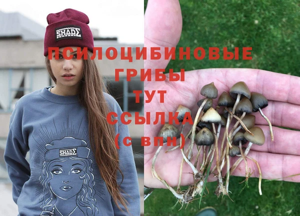 стафф Краснослободск
