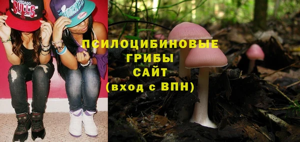 ALPHA PVP Куйбышев