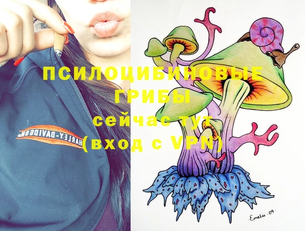 крисы Кулебаки