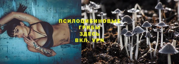 крисы Кулебаки