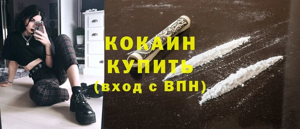 крисы Кулебаки