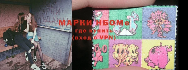 крисы Кулебаки