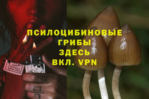 шишки Красноперекопск