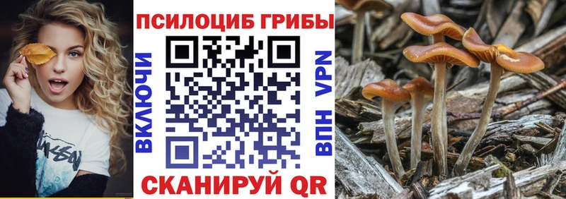 блэк спрут наркота Красный Сулин Галлюциногенные грибы мицелий