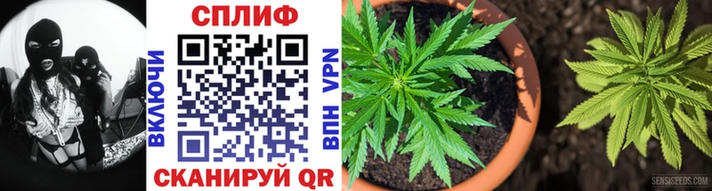 Бошки марихуана White Widow Красный Сулин